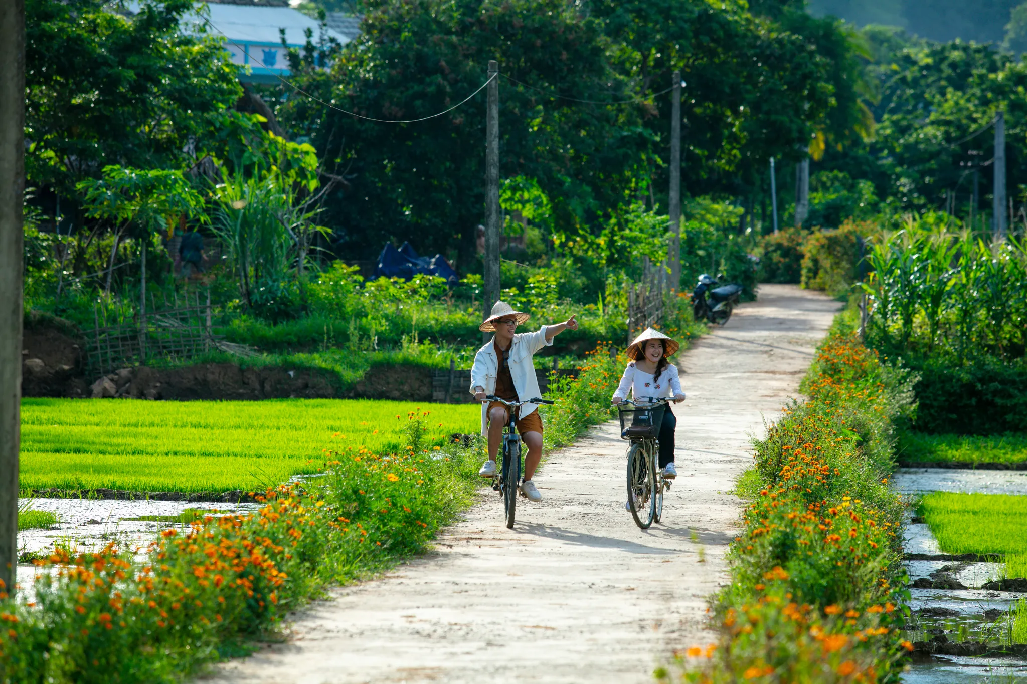 Northern Vietnam Cycling Odyssey Tour 10 Days